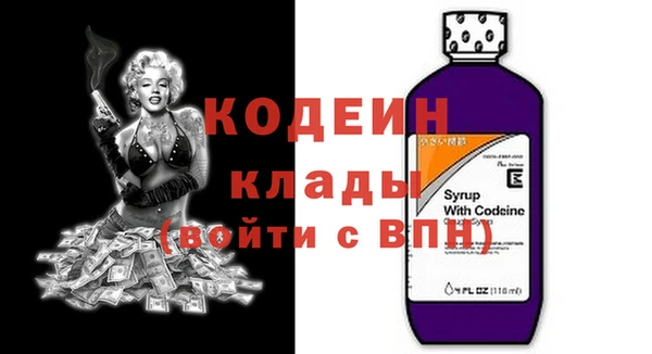 индика Сафоново
