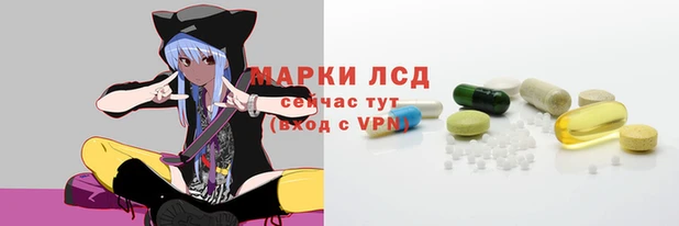 шишки Сатка