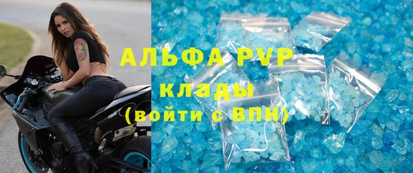 шишки Сатка