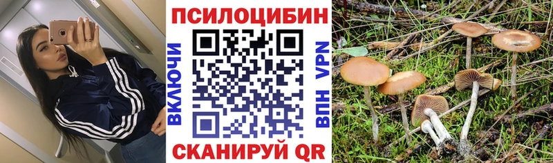 МЕГА tor  Кукмор  Галлюциногенные грибы Psilocybine cubensis 